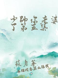 少帅你老婆又跑了第五集