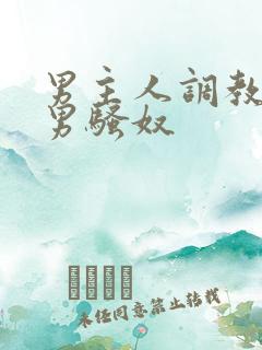 男主人调教中国男骚奴