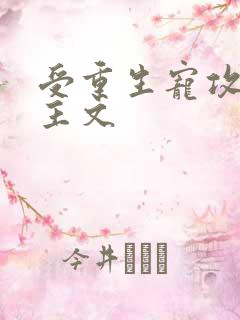 受重生宠攻双男主文