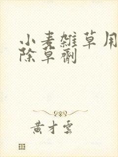 小麦杂草用什么除草剂