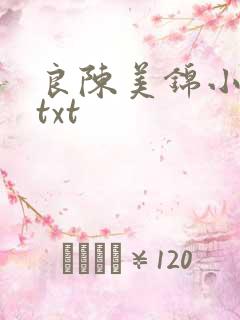 良陈美锦小说.txt