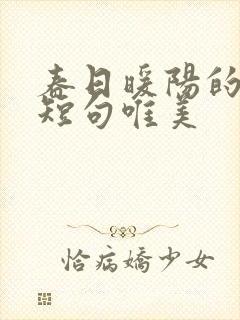 春日暖阳的句子短句唯美