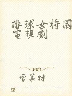 排球女将国语版电视剧