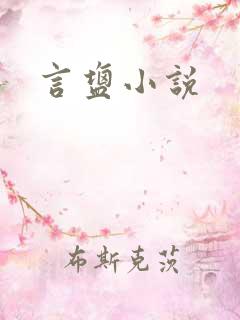 言盐小说