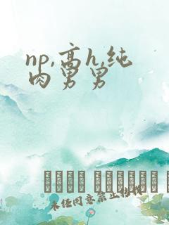 np,高h,纯肉男男