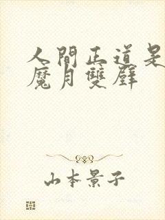 人间正道是沧桑魔月双壁