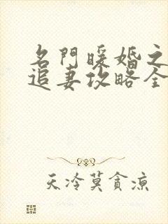 名门暖婚之权爷追妻攻略全文阅读