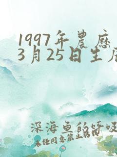 1997年农历3月25日生辰八字