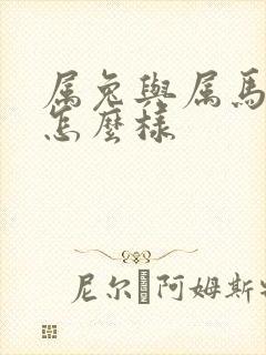 属兔与属马姻缘怎么样