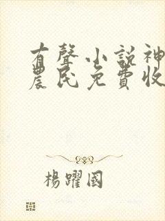 有声小说神医小农民免费收听