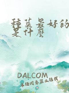 种菜最好的肥料是什么
