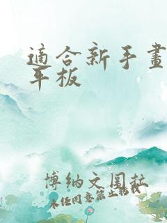 适合新手画画的平板
