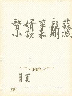 赘婿宁毅苏檀儿小说未删减完整版