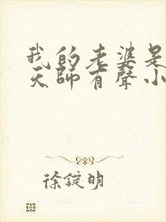 我的老婆是阴阳天师有声小说