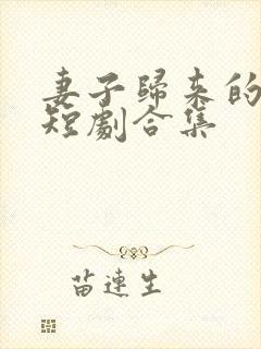 妻子归来的秘密短剧合集