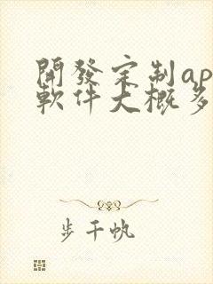 开发定制app软件大概多少钱