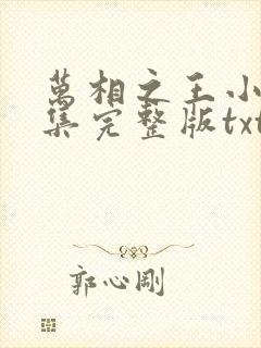 万相之王小说全集完整版txt