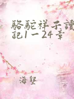 骆驼祥子读书笔记1一24章