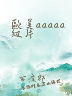 欧美aaaaa级片