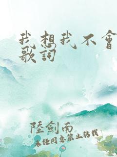 我想我不会爱你歌词