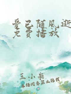 爱已随风逝短剧免费播放