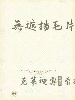 无遮挡毛片视频