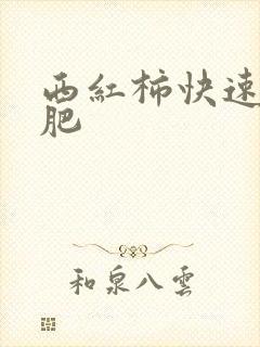 西红柿快速增甜肥