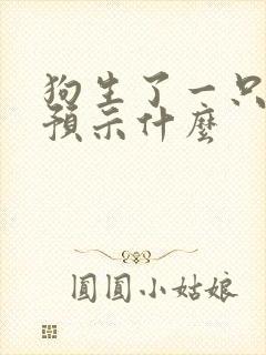 狗生了一只小狗预示什么