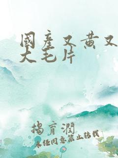 国产又黄又爽又大毛片