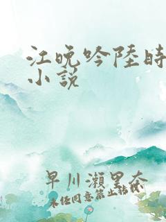 江晚吟陆时今的小说