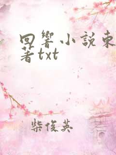 回响小说东西原著txt