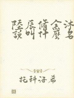 陆辰修余沐恩小说叫什么名字