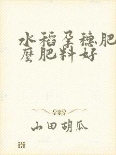 水稻孕穗肥用什么肥料好