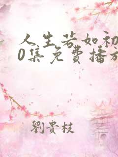 人生若如初见40集免费播放