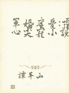 军婚蜜爱:霍爷心尖宠小说