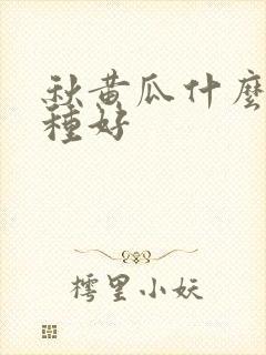 秋黄瓜什么时间种好