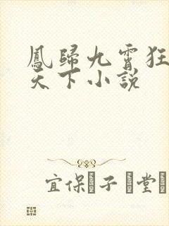 凤归九霄狂妃逆天下小说