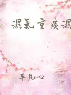 湿气重痰湿表现