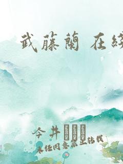 武藤兰 在线