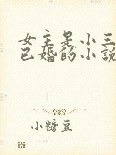 女主是小三男主已婚的小说推荐