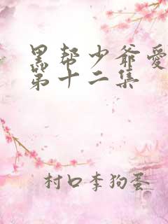 黑帮少爷爱上我第十二集