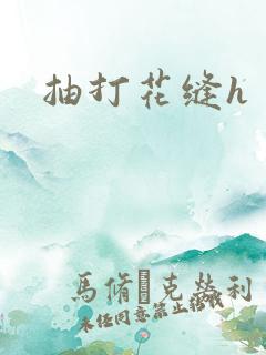 抽打花缝h