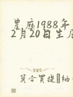农历1988年2月20日生辰八字