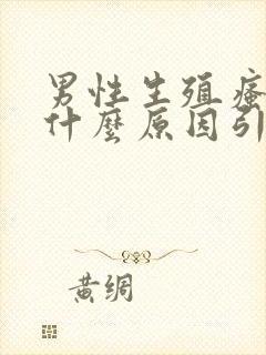 男性生殖瘙痒是什么原因引起的