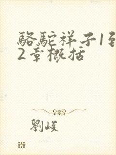 骆驼祥子1到12章概括