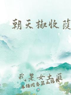 朝天椒收获时间
