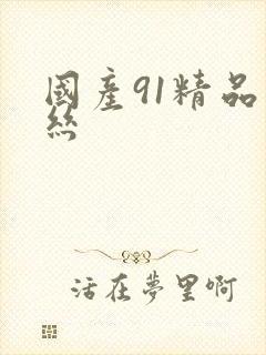 国产91精品黑丝