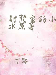 财阀家的小儿子sk原著