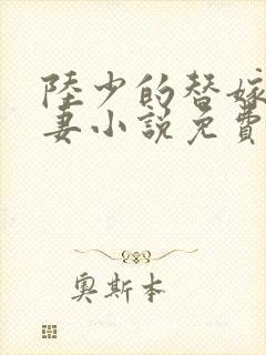 陆少的替嫁小娇妻小说免费 陆少的替嫁小娇妻小说免费