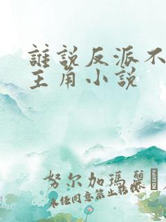 谁说反派不能当主角小说